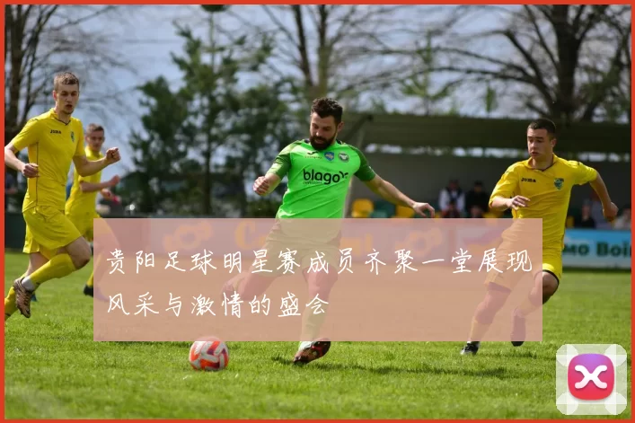 贵阳足球明星赛成员齐聚一堂展现风采与激情的盛会