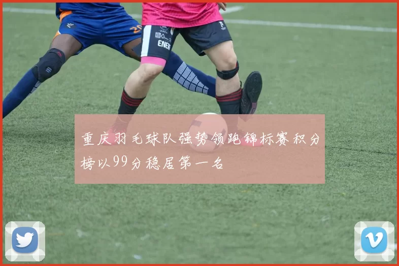 重庆羽毛球队强势领跑锦标赛积分榜以99分稳居第一名
