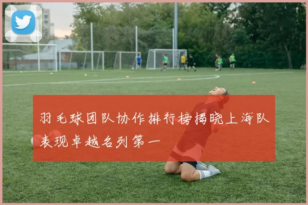 羽毛球团队协作排行榜揭晓上海队表现卓越名列第一