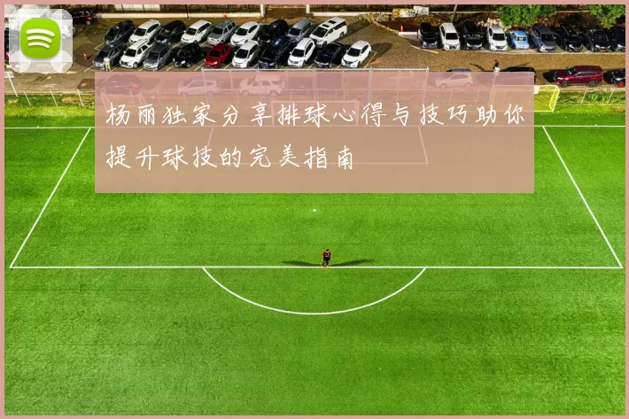 杨丽独家分享排球心得与技巧助你提升球技的完美指南