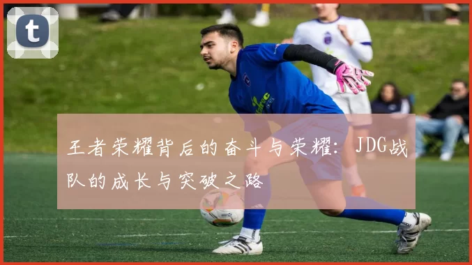 王者荣耀背后的奋斗与荣耀：JDG战队的成长与突破之路