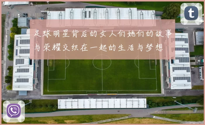 足球明星背后的女人们她们的故事与荣耀交织在一起的生活与梦想