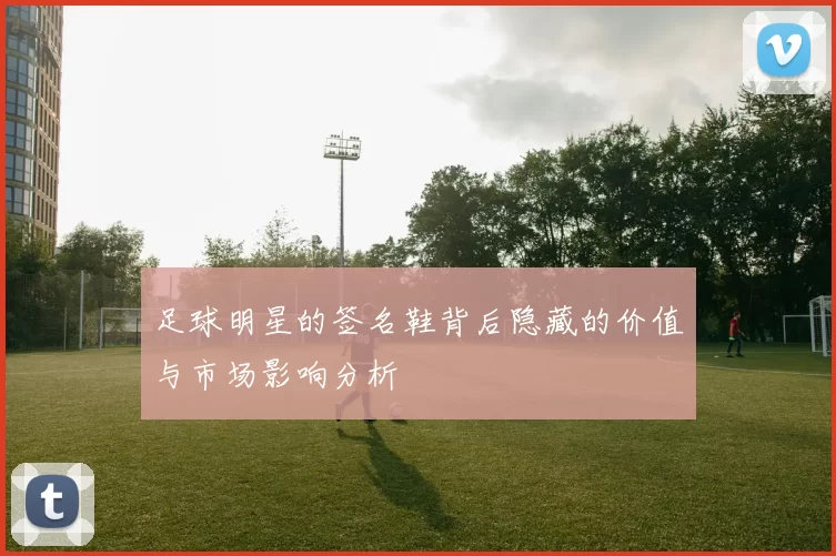足球明星的签名鞋背后隐藏的价值与市场影响分析