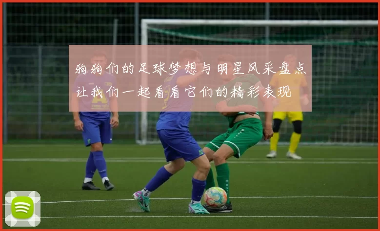 狗狗们的足球梦想与明星风采盘点让我们一起看看它们的精彩表现