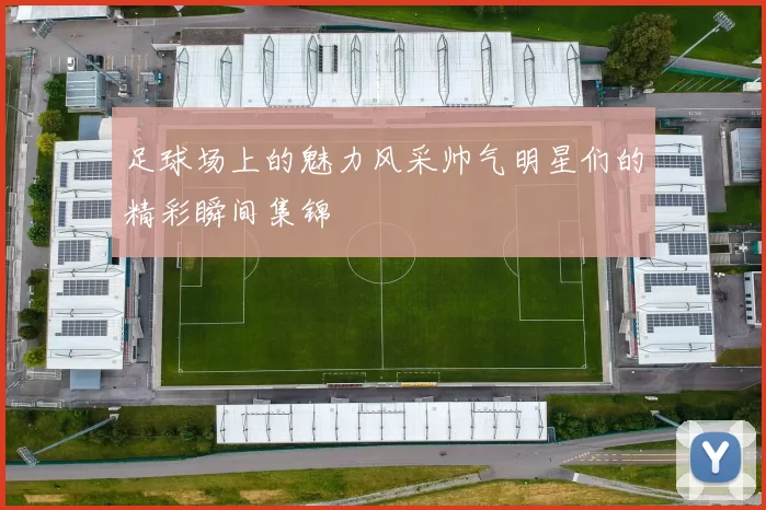足球场上的魅力风采帅气明星们的精彩瞬间集锦