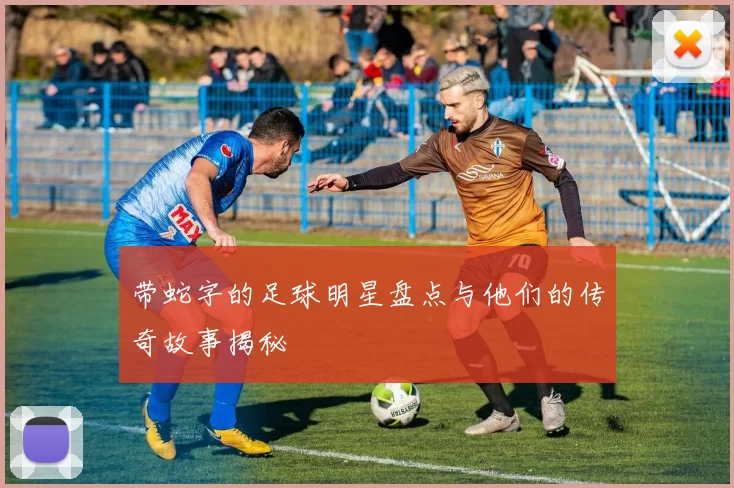 带蛇字的足球明星盘点与他们的传奇故事揭秘