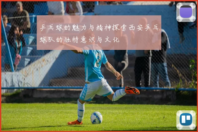 乒乓球的魅力与精神探索西安乒乓球队的独特意识与文化