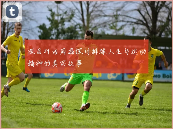 深度对话周磊探讨排球人生与运动精神的真实故事