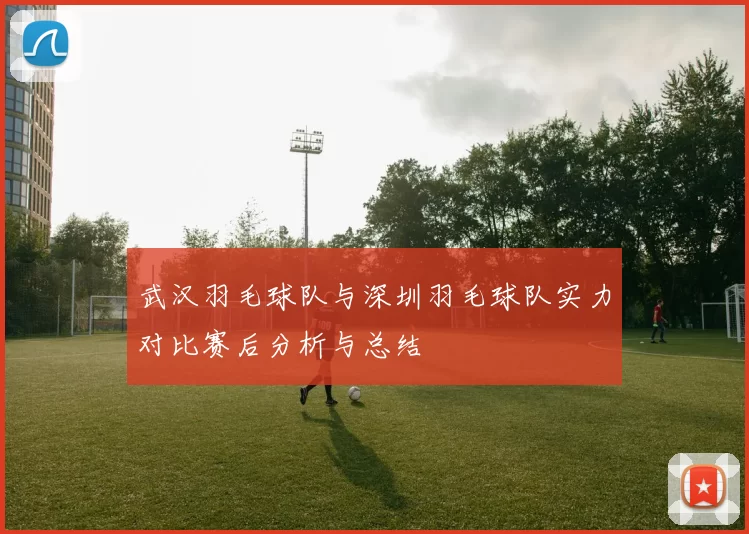 武汉羽毛球队与深圳羽毛球队实力对比赛后分析与总结