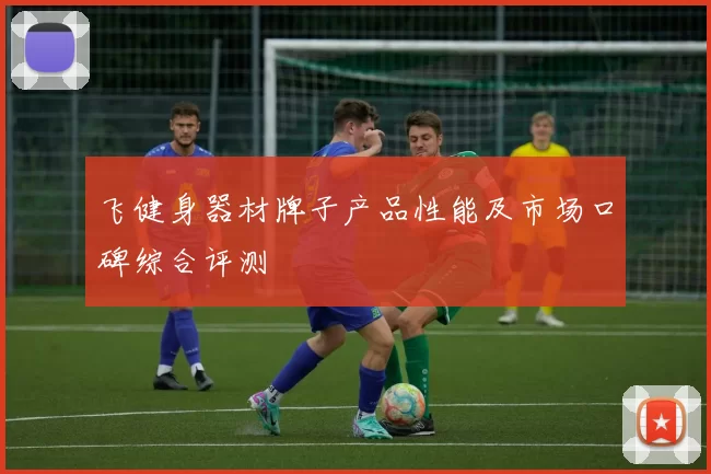 飞健身器材牌子产品性能及市场口碑综合评测