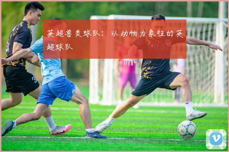 英超兽类球队：以动物为象征的英超球队