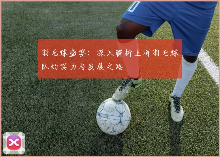 羽毛球盛宴：深入解析上海羽毛球队的实力与发展之路