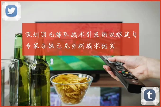 深圳羽毛球队战术引发热议球迷与专家各执己见分析战术优劣