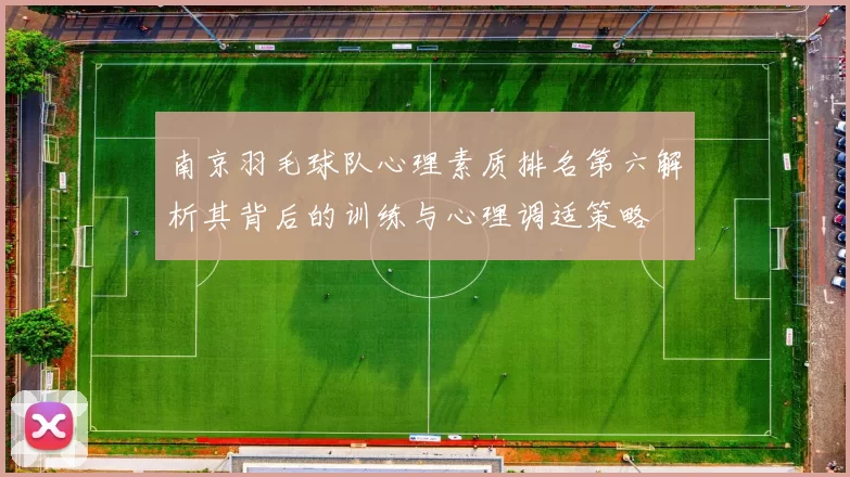 南京羽毛球队心理素质排名第六解析其背后的训练与心理调适策略