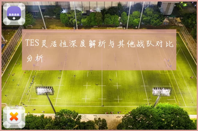 TES灵活性深度解析与其他战队对比分析