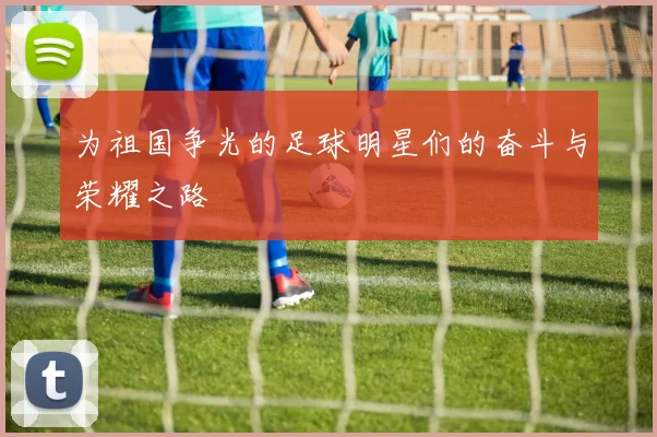 为祖国争光的足球明星们的奋斗与荣耀之路