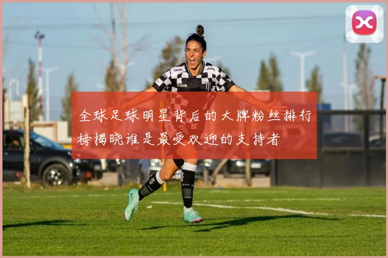 全球足球明星背后的大牌粉丝排行榜揭晓谁是最受欢迎的支持者