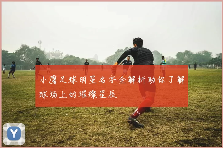小鹰足球明星名字全解析助你了解球场上的璀璨星辰