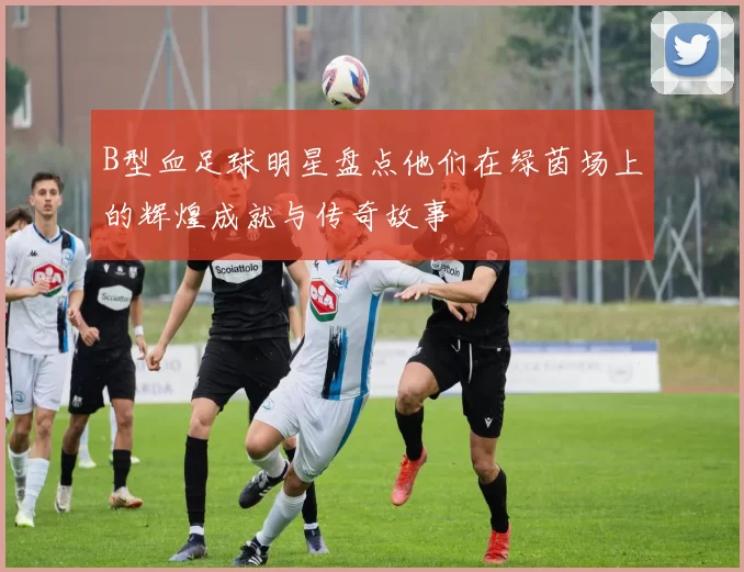 B型血足球明星盘点他们在绿茵场上的辉煌成就与传奇故事
